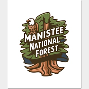 Manistee National Forest Posters and Art